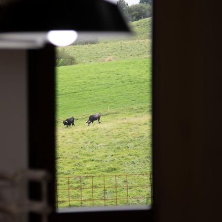Apartmán La Huertona De Caviedes Exteriér fotografie