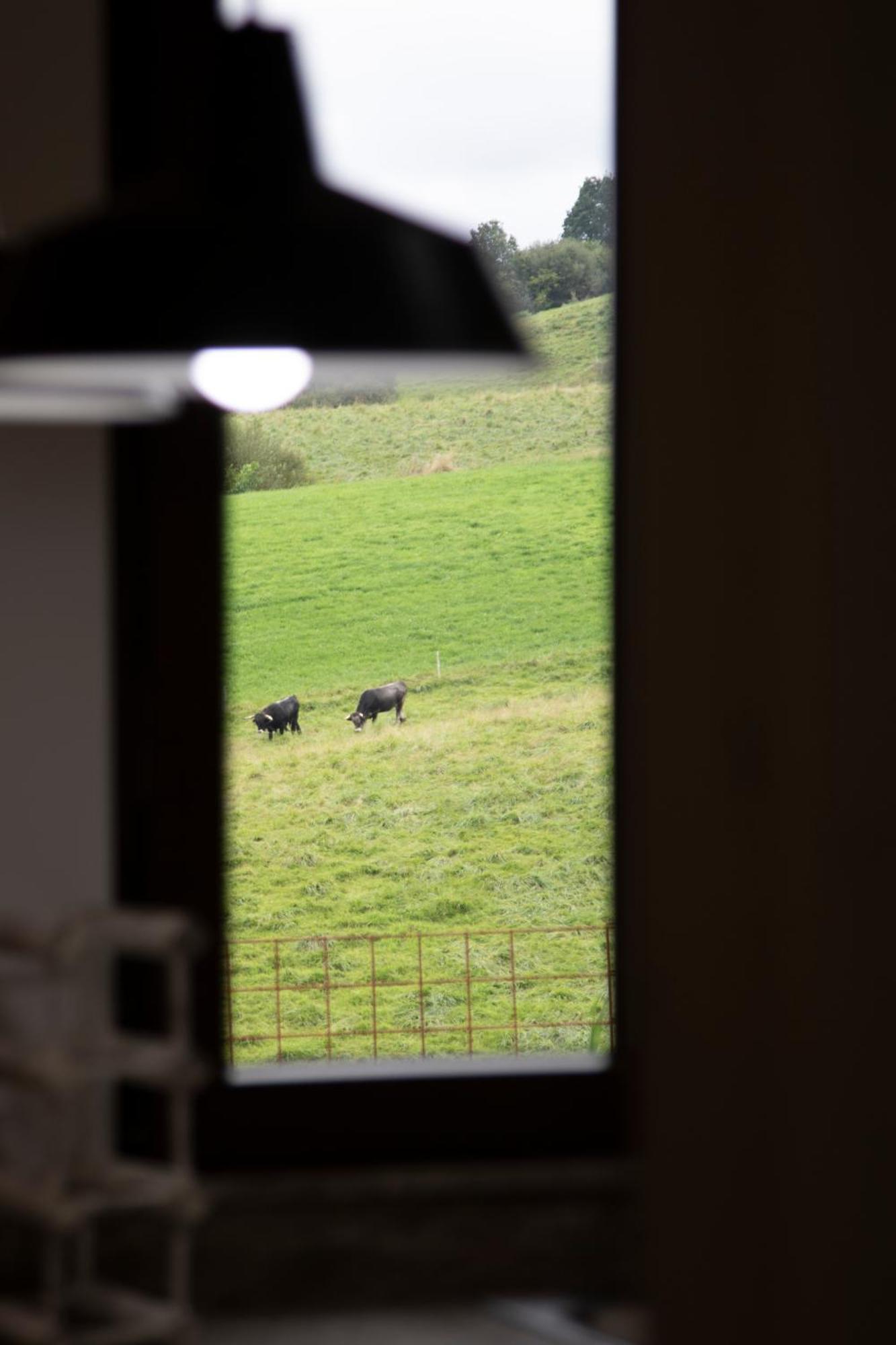 Apartmán La Huertona De Caviedes Exteriér fotografie